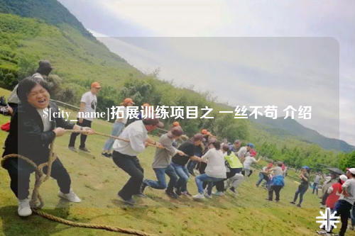 新疆拓展训练项目之 一丝不苟 介绍