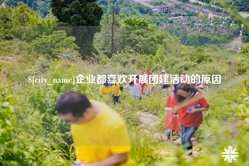 新疆企业都喜欢开展团建活动的原因